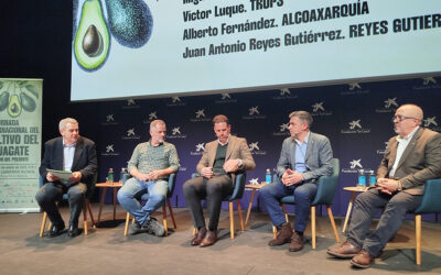 Aguacate español apuesta por la máxima calidad y promoción