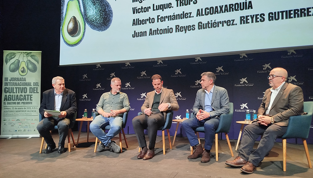 Aguacate español apuesta por la máxima calidad y promoción