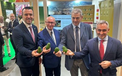 Asoproa lanza la primera campaña de promoción de la marca ‘Aguacates Valencianos’